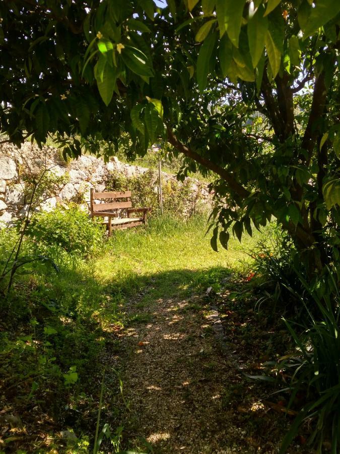 Quinta Algarve Das Relvinhas Monchique Kültér fotó
